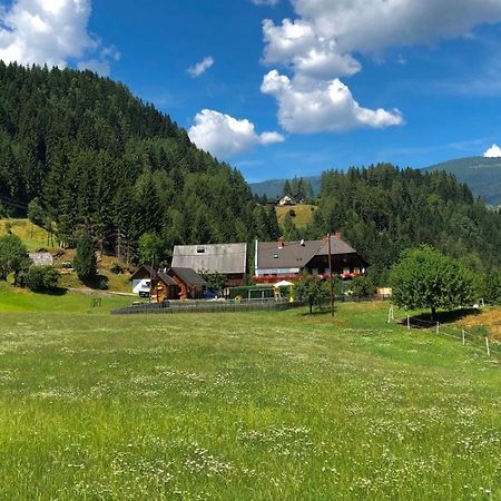 Haus Edlinger Inclusive Murau Sommer Gaeste Card Занкт-Ґеорґен-об-Мурау Екстер'єр фото