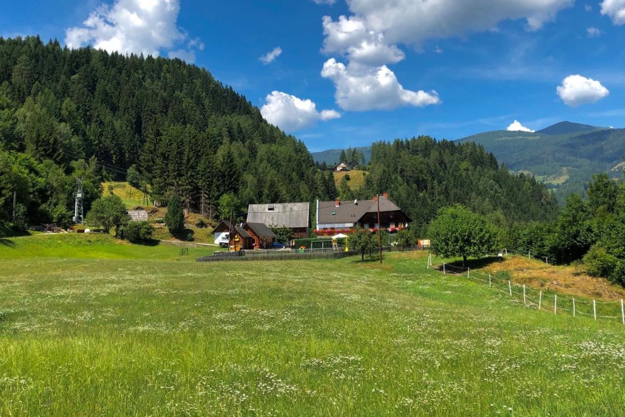 Haus Edlinger Inclusive Murau Sommer Gaeste Card Занкт-Ґеорґен-об-Мурау Екстер'єр фото